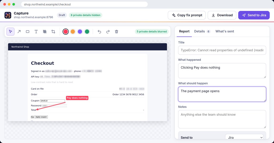 The Capture editor: a screenshot with an arrow and a note, private details blurred, and the report form beside it